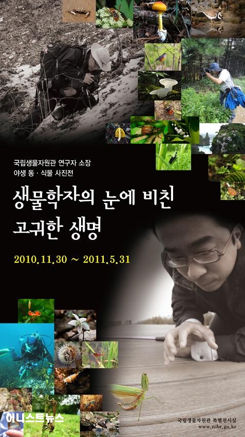 생물학자의 생명 포스터