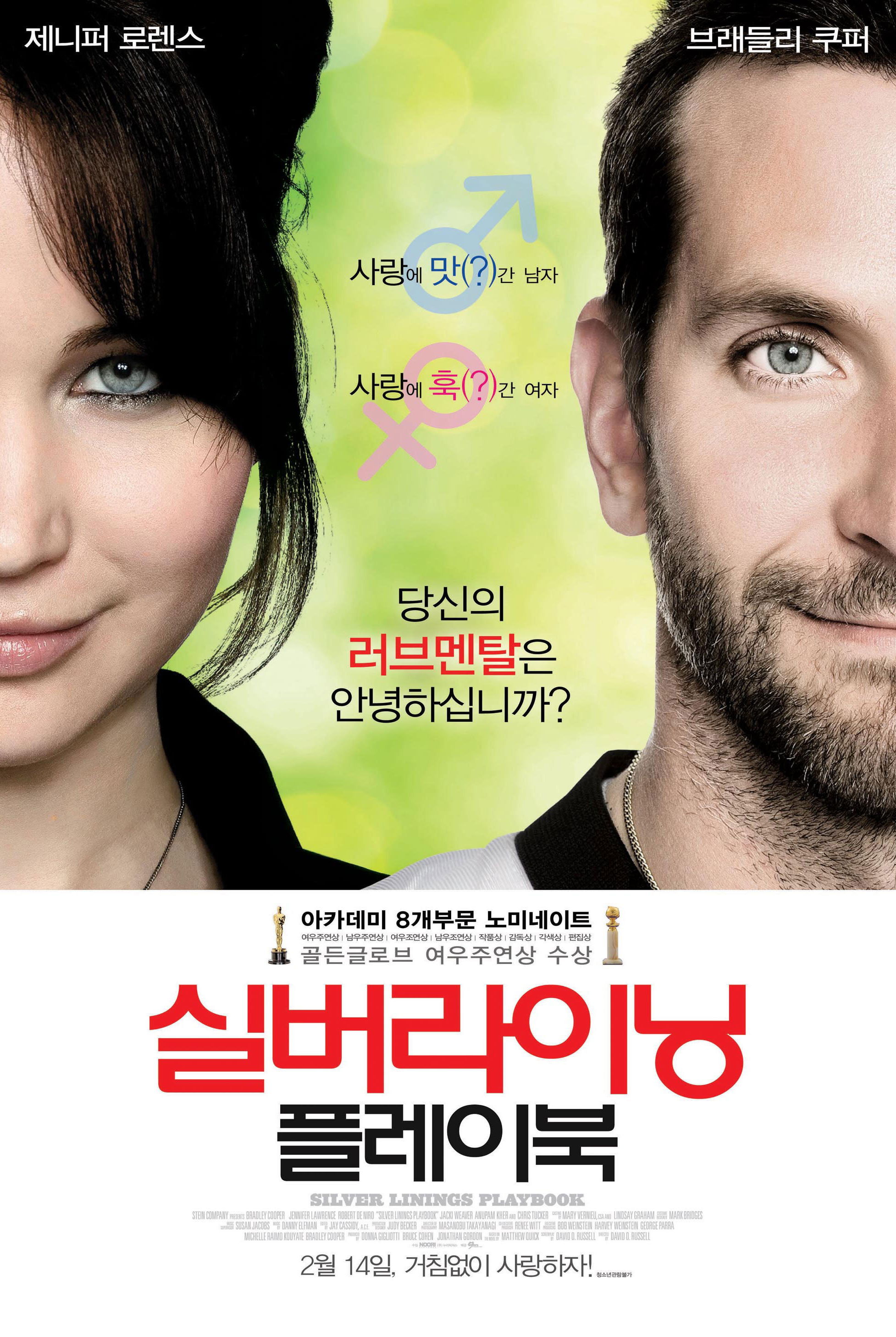 실버 라이닝 포스터